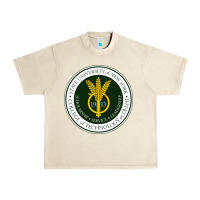 Suny Delhi Urban Heavy Tee | Teevron