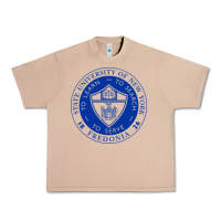 Burro Suny Fredonia Urban Heavy Tee - linhVisuals
