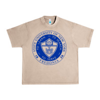 French Oak Suny Fredonia Urban Heavy Tee - linhVisuals