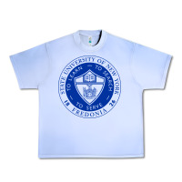 Grape Ice Suny Fredonia Urban Heavy Tee - linhVisuals