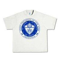 Pistachio Suny Fredonia Urban Heavy Tee - linhVisuals