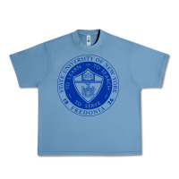 Pebble Blue Suny Fredonia Urban Heavy Tee - linhVisuals