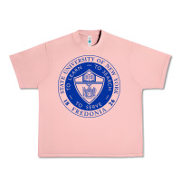 Salmon Suny Fredonia Urban Heavy Tee - linhVisuals