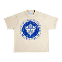 Sandshell Suny Fredonia Urban Heavy Tee - linhVisuals