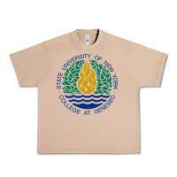 Suny Geneseo Urban Heavy Tee | Teevron