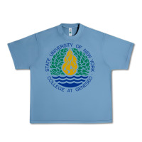 Pebble Blue Suny Geneseo Urban Heavy Tee - linhVisuals