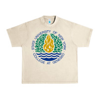 Sandshell Suny Geneseo Urban Heavy Tee - linhVisuals