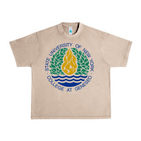 French Oak Suny Geneseo Urban Heavy Tee - linhVisuals