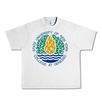 Lunar Rock Suny Geneseo Urban Heavy Tee - linhVisuals