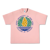 Salmon Suny Geneseo Urban Heavy Tee - linhVisuals