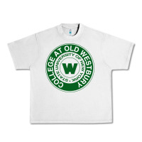 Lunar Rock Suny Old Westbury Urban Heavy Tee - linhVisuals