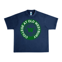 Navy Suny Old Westbury Urban Heavy Tee - linhVisuals