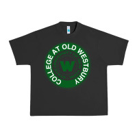 Pigment Black Suny Old Westbury Urban Heavy Tee - linhVisuals