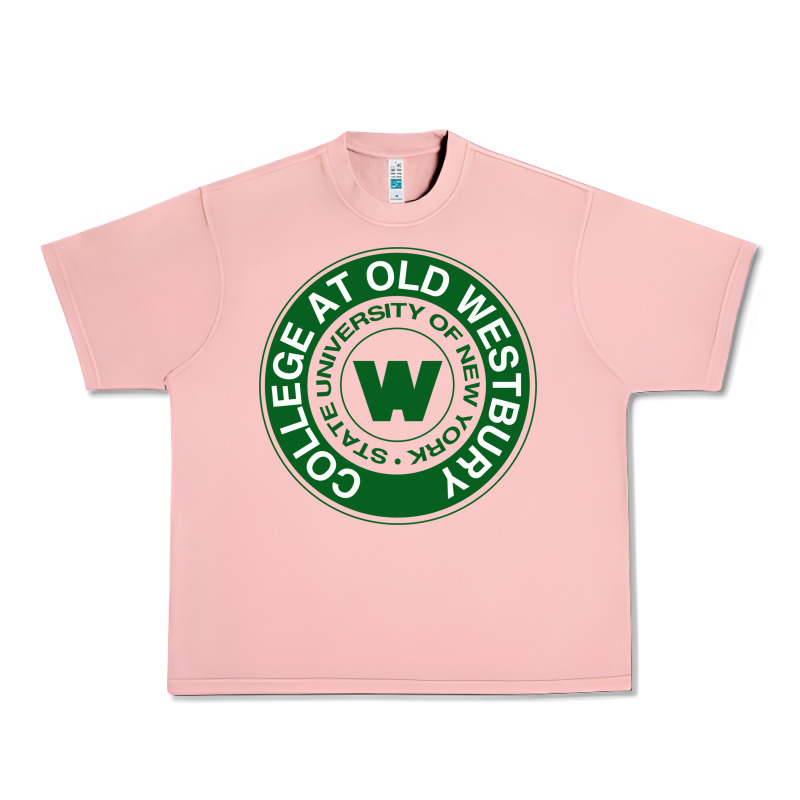 Suny Old Westbury Urban Heavy Tee by linhVisuals | Teevron