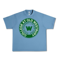 Pebble Blue Suny Old Westbury Urban Heavy Tee - linhVisuals