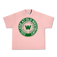 Salmon Suny Old Westbury Urban Heavy Tee - linhVisuals