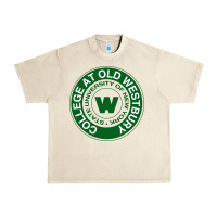 Sandshell Suny Old Westbury Urban Heavy Tee - linhVisuals