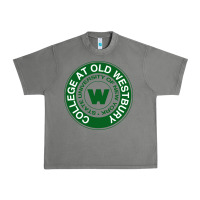 Tornado Suny Old Westbury Urban Heavy Tee - linhVisuals