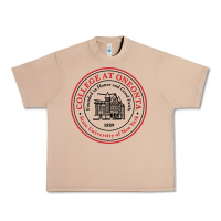 Burro Suny Oneonta Urban Heavy Tee - linhVisuals