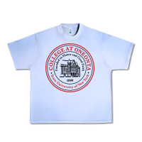 Grape Ice Suny Oneonta Urban Heavy Tee - linhVisuals