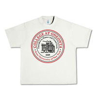 Pistachio Suny Oneonta Urban Heavy Tee - linhVisuals