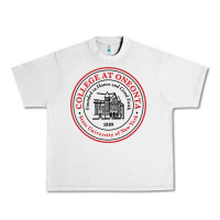 Lunar Rock Suny Oneonta Urban Heavy Tee - linhVisuals