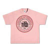 Salmon Suny Oneonta Urban Heavy Tee - linhVisuals