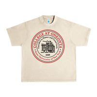 Sandshell Suny Oneonta Urban Heavy Tee - linhVisuals