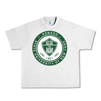 Lunar Rock Suny Oswego Urban Heavy Tee - linhVisuals