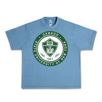 Pebble Blue Suny Oswego Urban Heavy Tee - linhVisuals