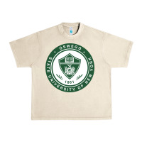 Sandshell Suny Oswego Urban Heavy Tee - linhVisuals