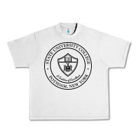 Lunar Rock Suny Potsdam Urban Heavy Tee - linhVisuals