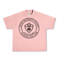 Salmon Suny Potsdam Urban Heavy Tee - linhVisuals