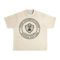 Sandshell Suny Potsdam Urban Heavy Tee - linhVisuals