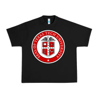 Black Texas Tech University Urban Heavy Tee - linhVisuals