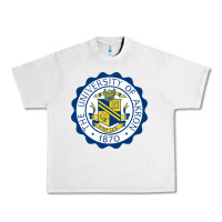 Lunar Rock University Of Akron Urban Heavy Tee - linhVisuals