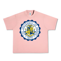 Salmon University Of Akron Urban Heavy Tee - linhVisuals