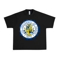 University Of Akron Urban Heavy Tee | Teevron