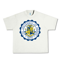 Pistachio University Of Akron Urban Heavy Tee - linhVisuals