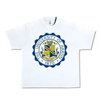 White University Of Akron Urban Heavy Tee - linhVisuals