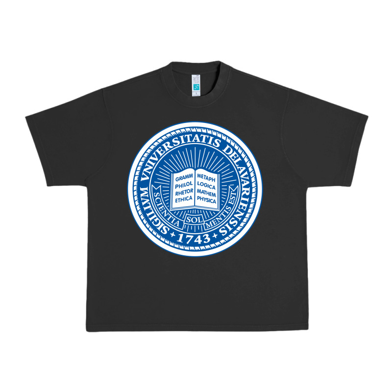 University Of Delaware Urban Heavy Tee by linhVisuals | Teevron