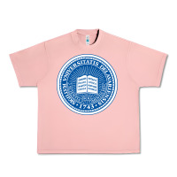 Salmon University Of Delaware Urban Heavy Tee - linhVisuals