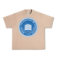 Burro University Of Delaware Urban Heavy Tee - linhVisuals