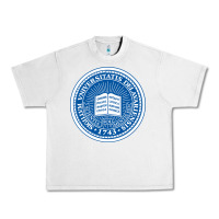 Lunar Rock University Of Delaware Urban Heavy Tee - linhVisuals