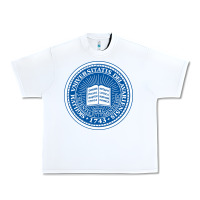 White University Of Delaware Urban Heavy Tee - linhVisuals