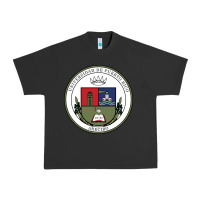 Pigment Black Upr At Arecibo Urban Heavy Tee - linhVisuals