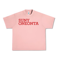 Salmon Suny Oneonta Wordmark Urban Heavy Tee - linhVisuals