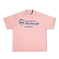 Salmon University Of Pittsburgh At Bradford New Urban Heavy Tee - linhVisuals