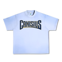 Grape Ice Canisius Athletics Wordmark Urban Heavy Tee - linhVisuals