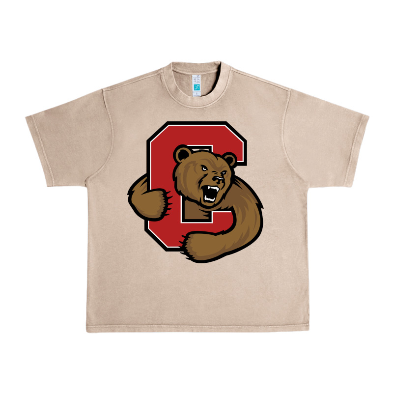 Cornell Big Red Urban Heavy Tee by linhVisuals | Teevron